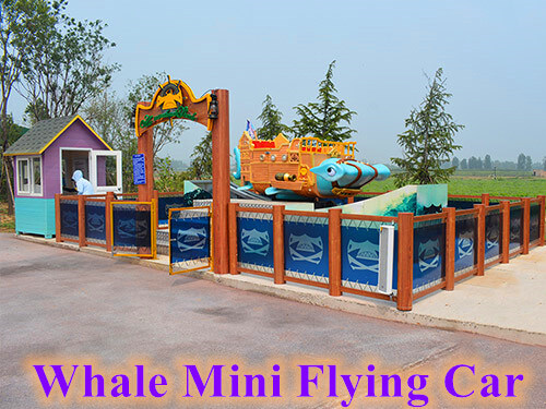 Whale Mini Flying Car